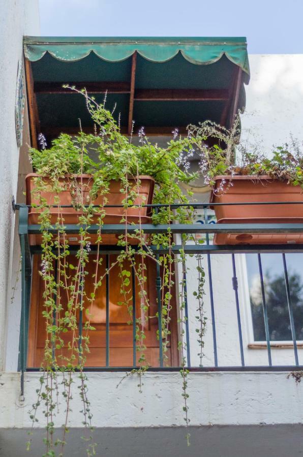 Garden Place Guest Houses Johannesburg Ngoại thất bức ảnh